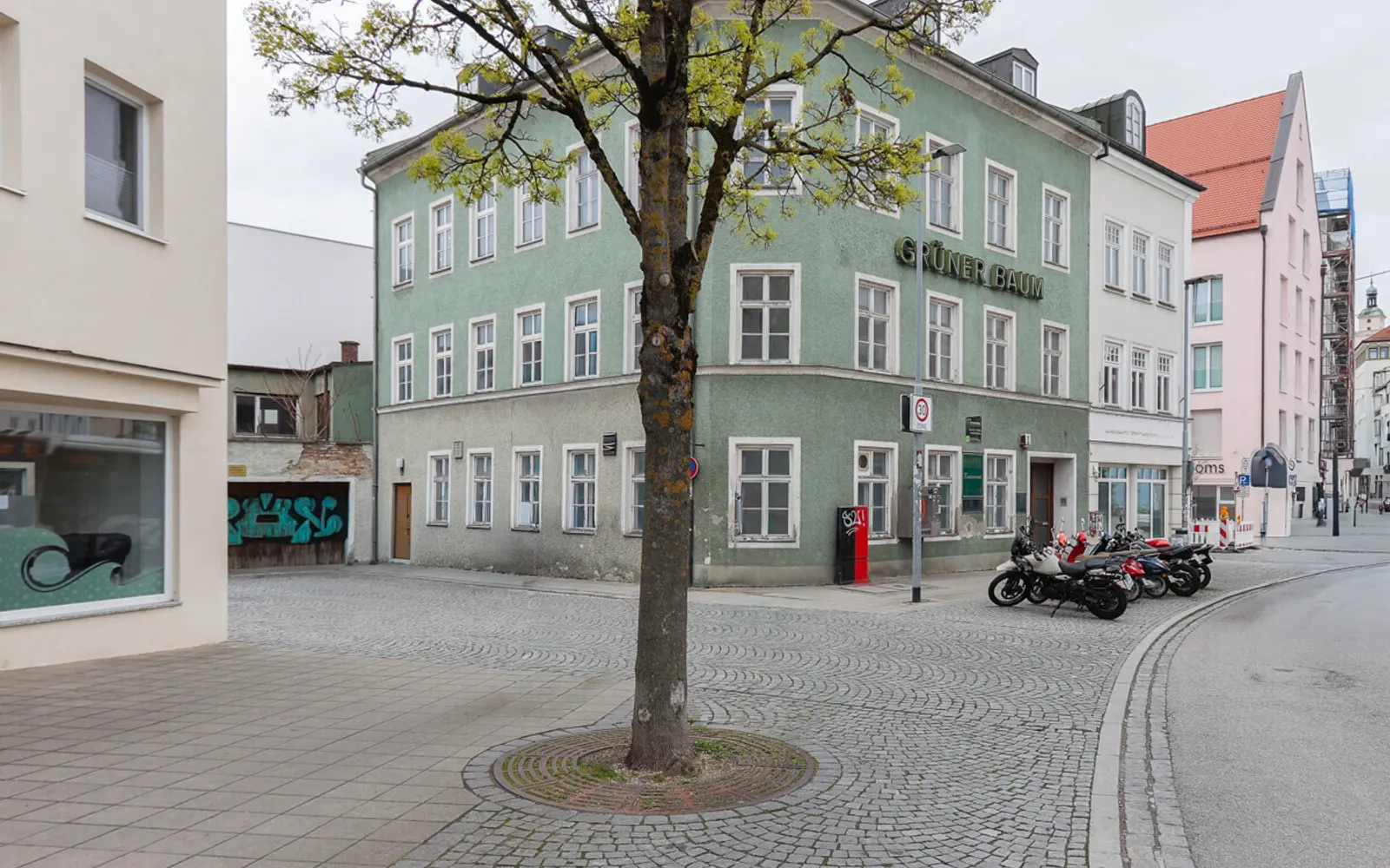 Der "Grüne Baum" - Historisches Ensemble in der Altstadt - Bild 1