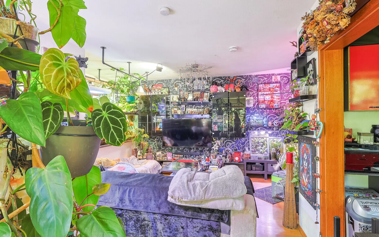 Erbbaurecht! Vermietete 2-Zimmer-Wohnung in Ingolstadt Süd mit umlaufendem Garten! - Bild 2