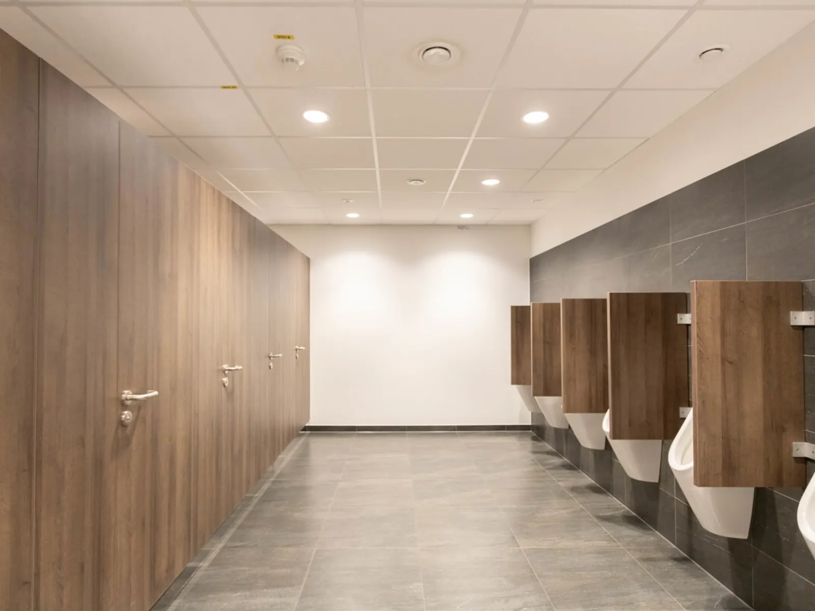 DESPAG Workspace - Moderne Hallen- / Produktions- und Büroflächen - Bild 5