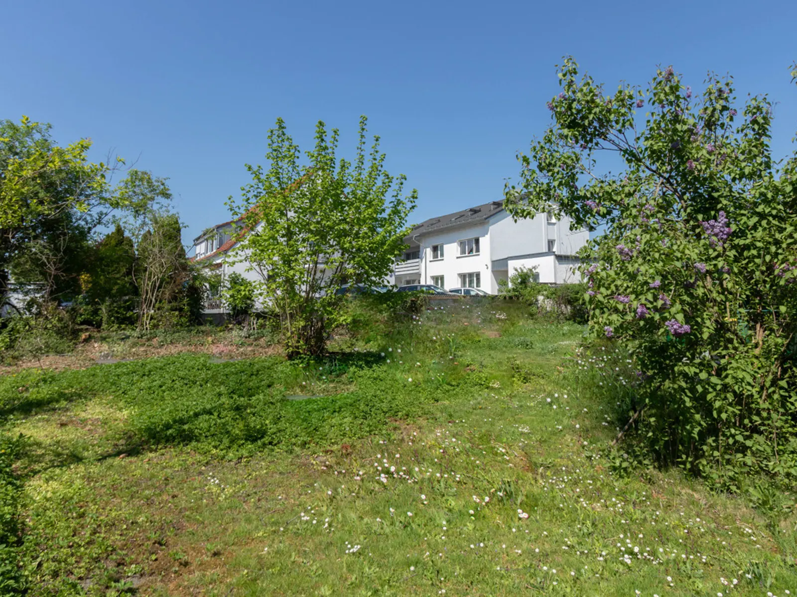 Baugrundstück mit Altbestand zum Abriss - Bild 4