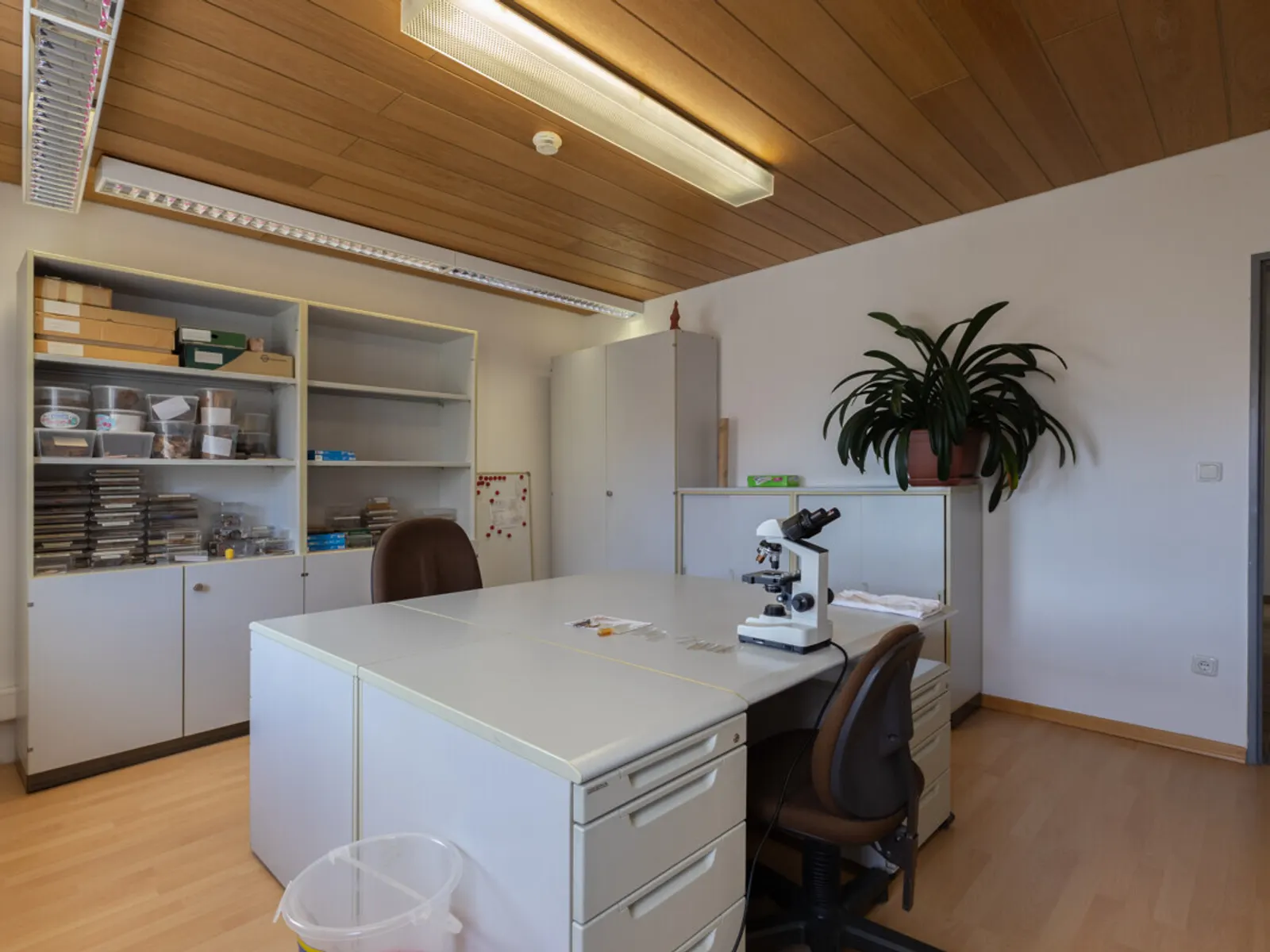 Attraktives Büro im Herzen von Gaimersheim - Bild 13