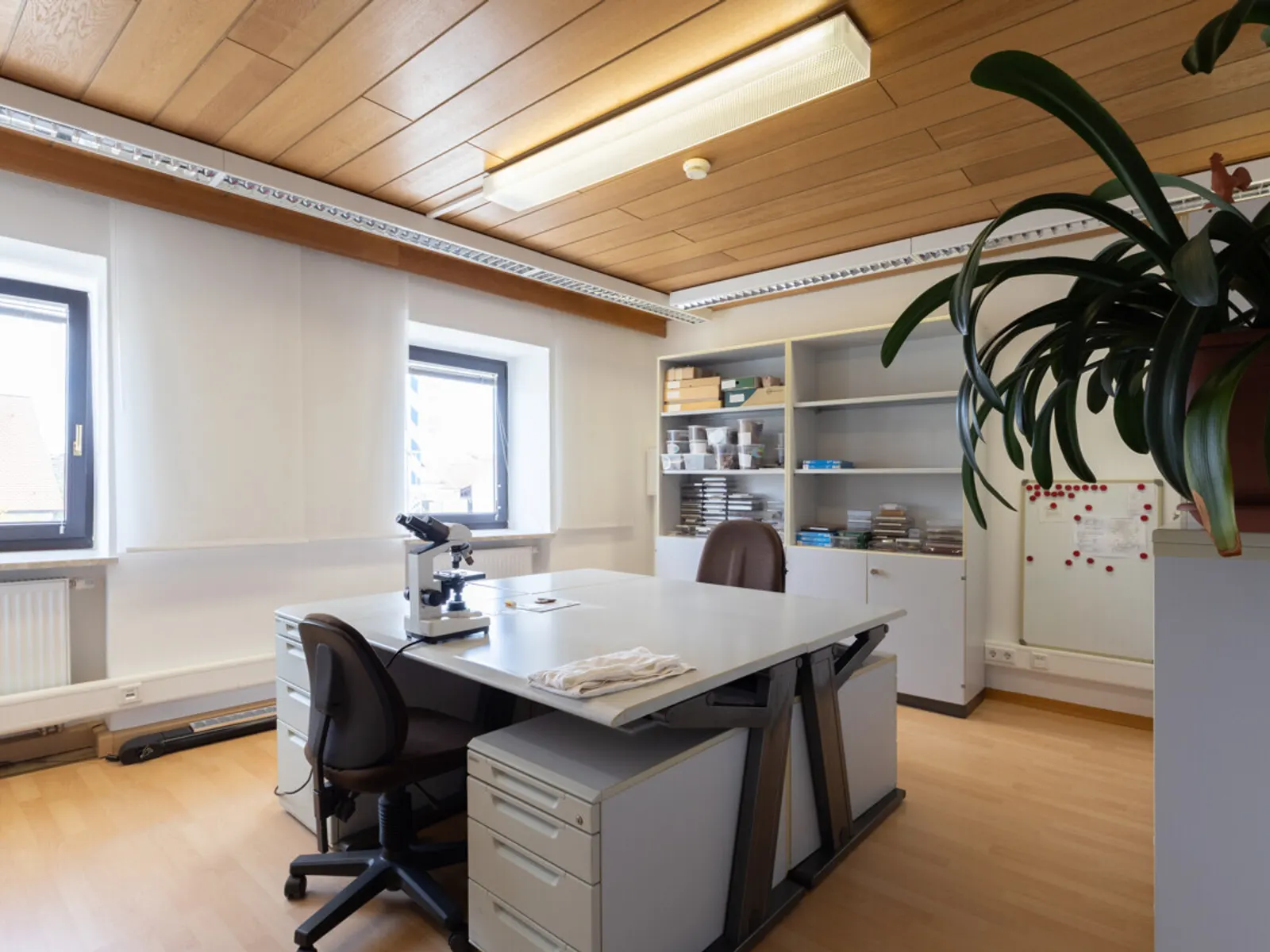 Attraktives Büro im Herzen von Gaimersheim - Bild 12