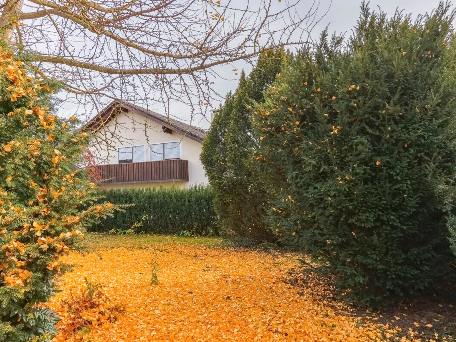 Charmantes Einfamilienhaus mit großem Garten - Bild 19