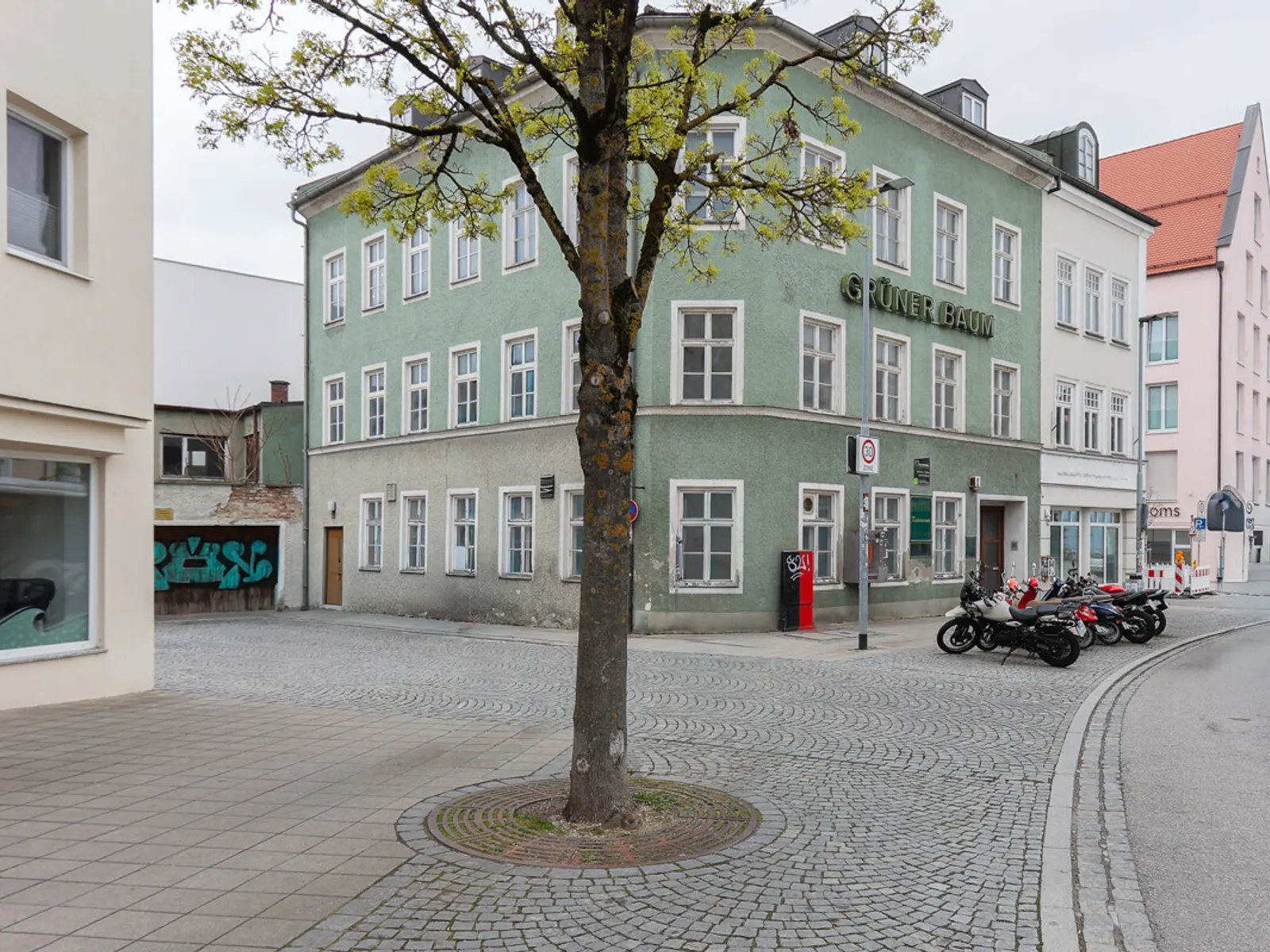 Der "Grüne Baum" - Historisches Ensemble in der Altstadt - Bild 1