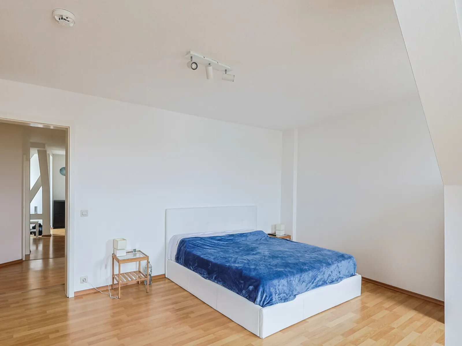 Geräumige 3-Zimmer-Wohnung Nähe Hauptbahnhof - Bild 8