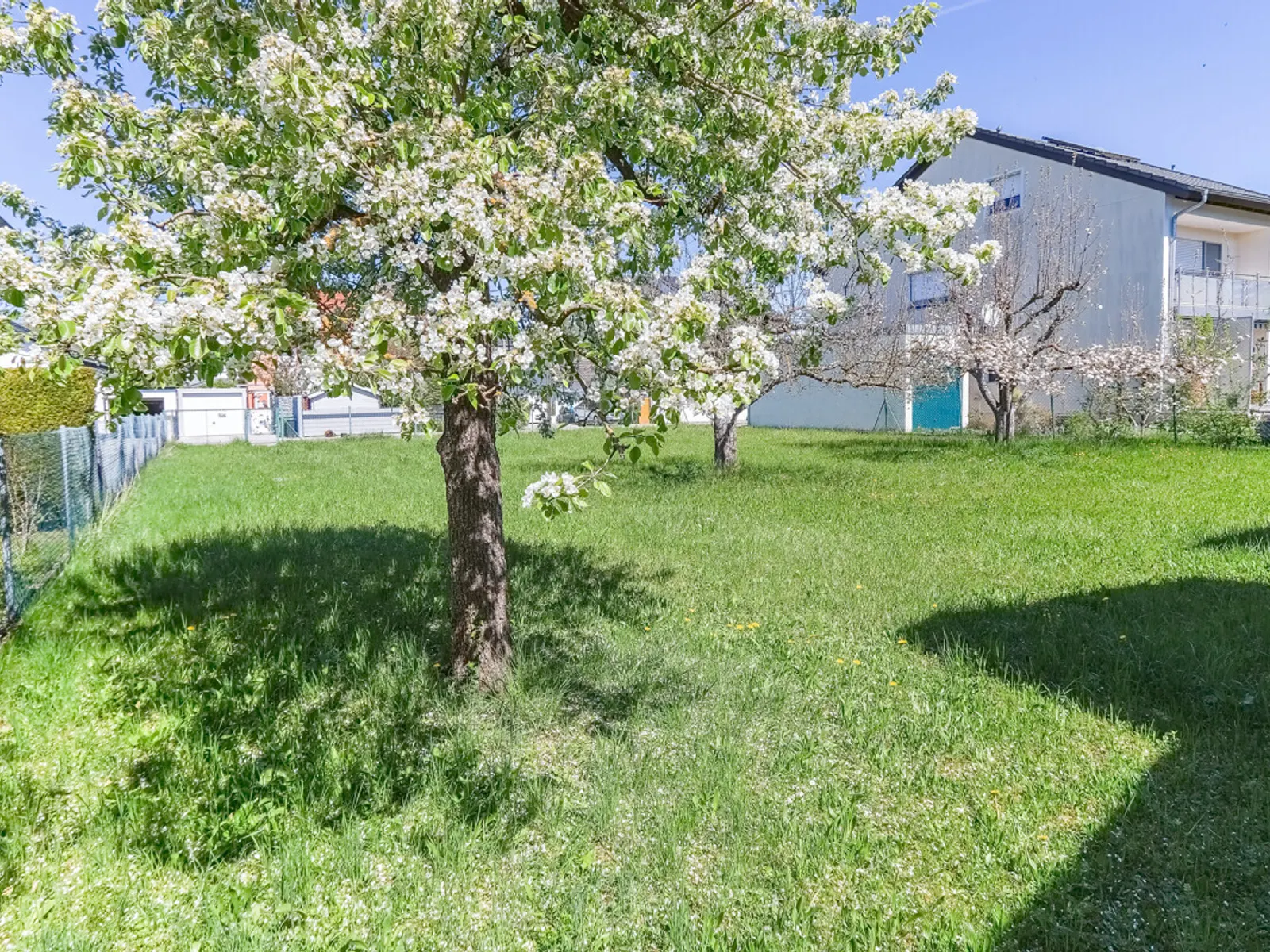 Traumgrundstück in ruhiger Lage - Bild 2