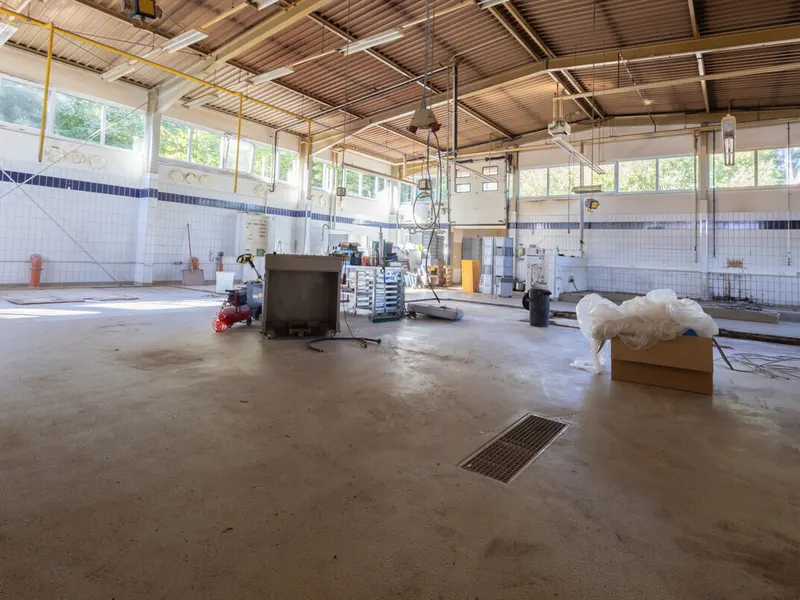 Großzügige Halle mit Büro in Autobahnnähe