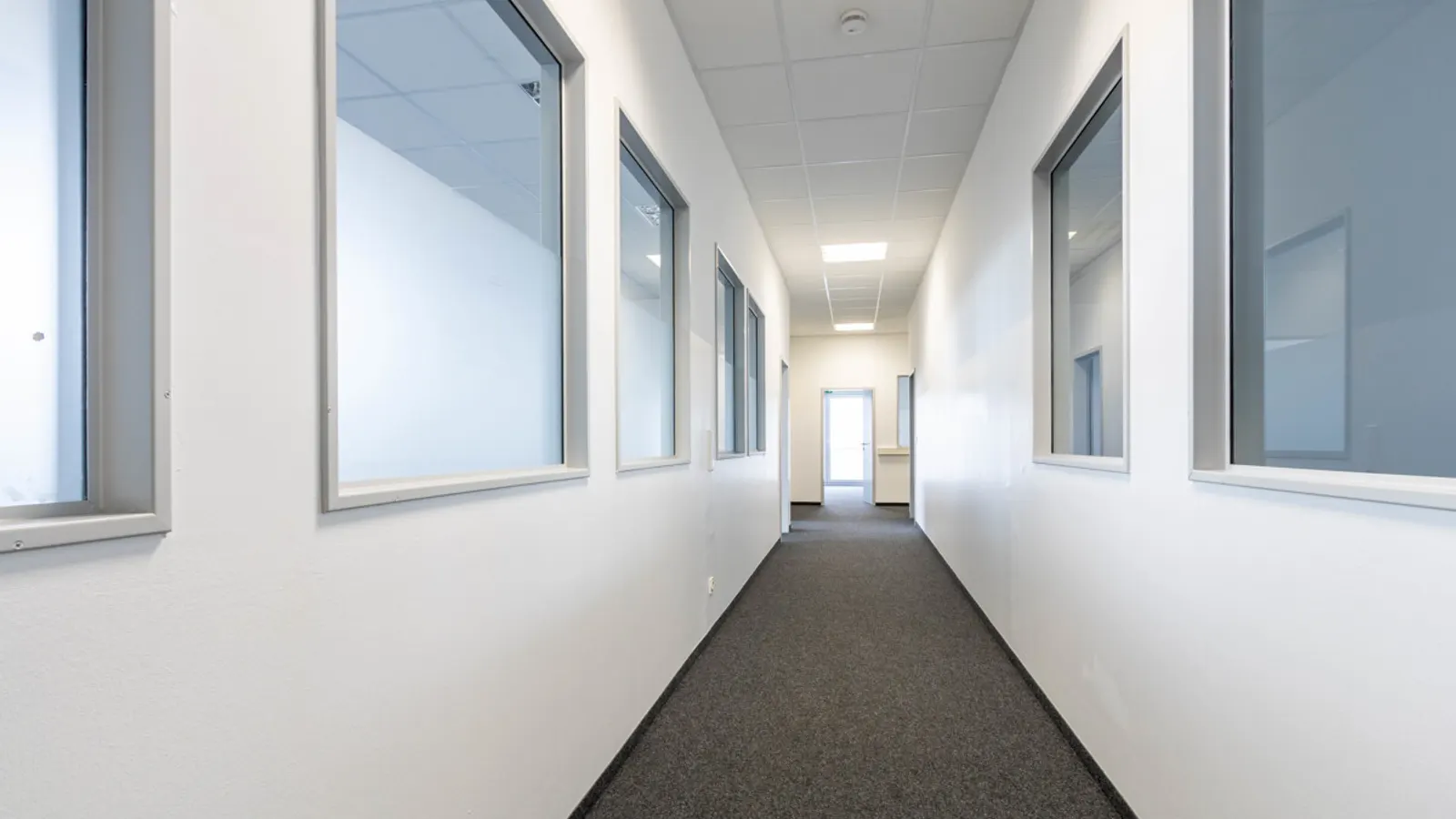 Lager/Halle mit Büro im Gewerbegebiet Gaimersheim - Bild 11