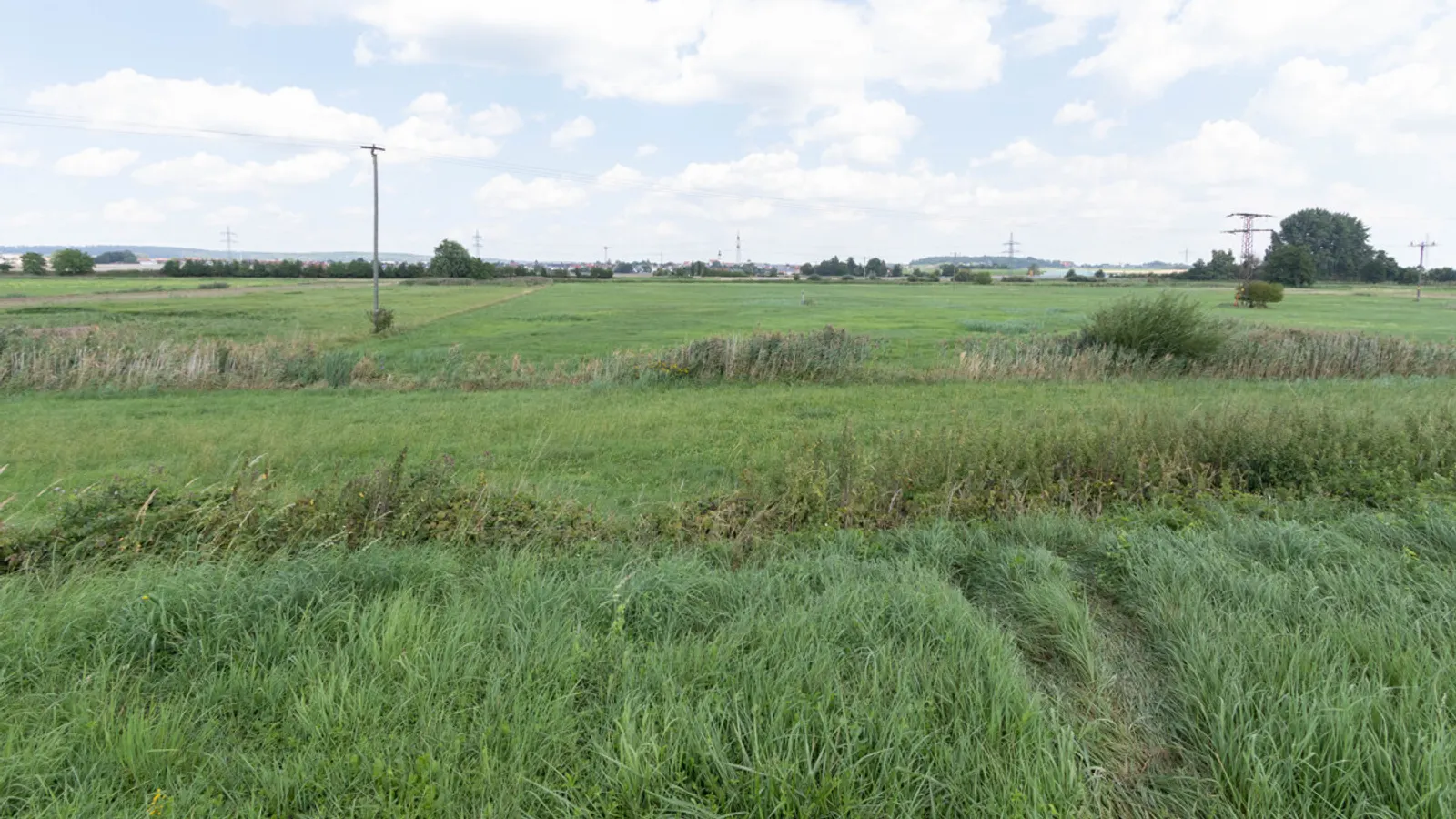Große Wiese - Grünland als Ausgleichsfläche - Bild 2