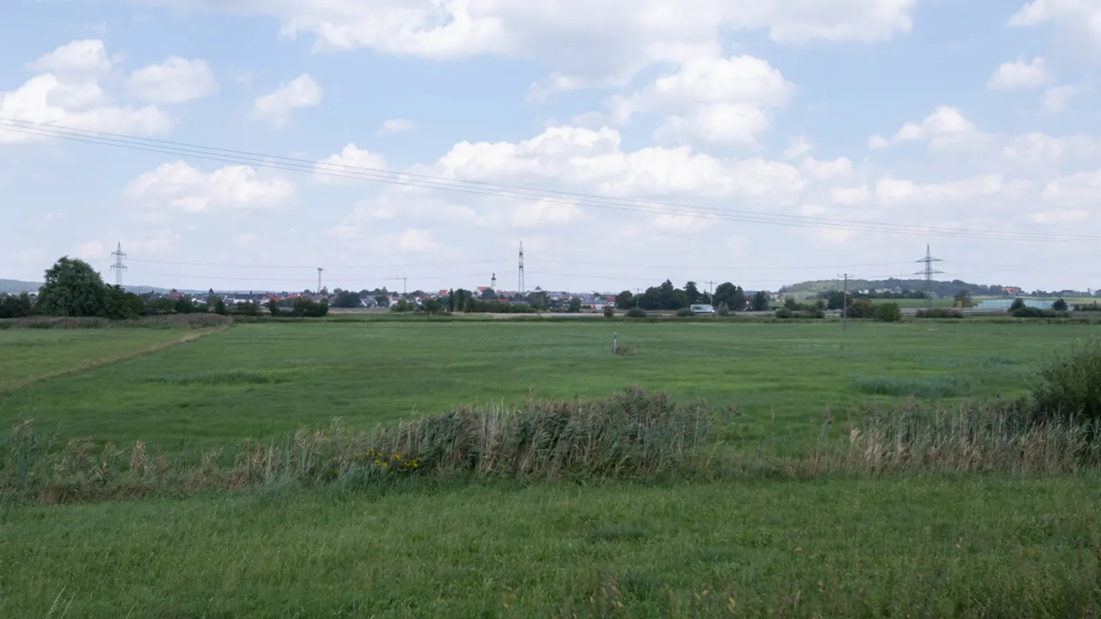 Große Wiese - Grünland als Ausgleichsfläche - Bild 1