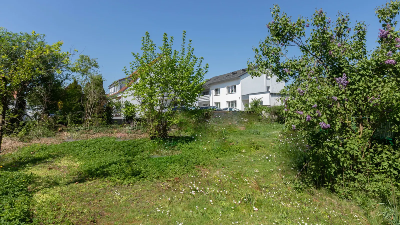 Baugrundstück mit Altbestand zum Abriss - Bild 4