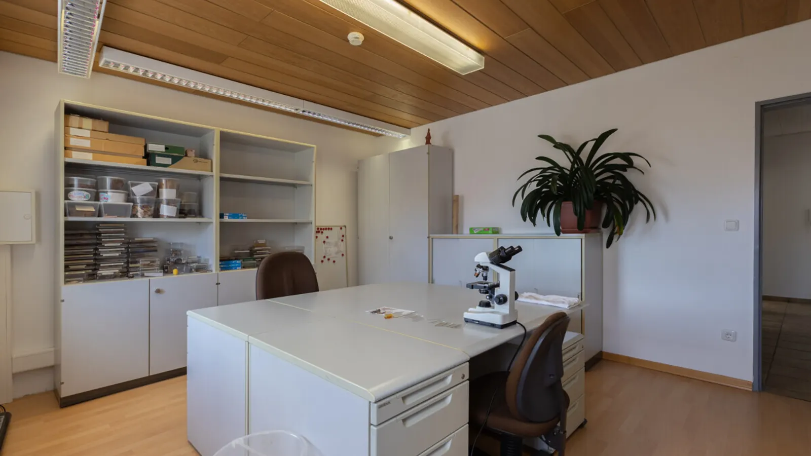 Attraktives Büro im Herzen von Gaimersheim - Bild 13