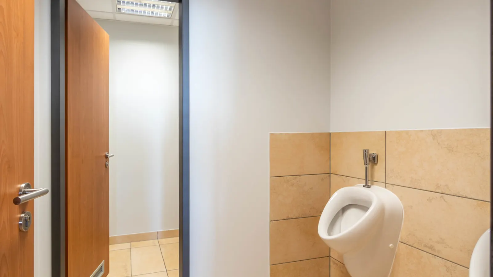 Penthouse-Bürofläche in Gaimersheim - Bild 13