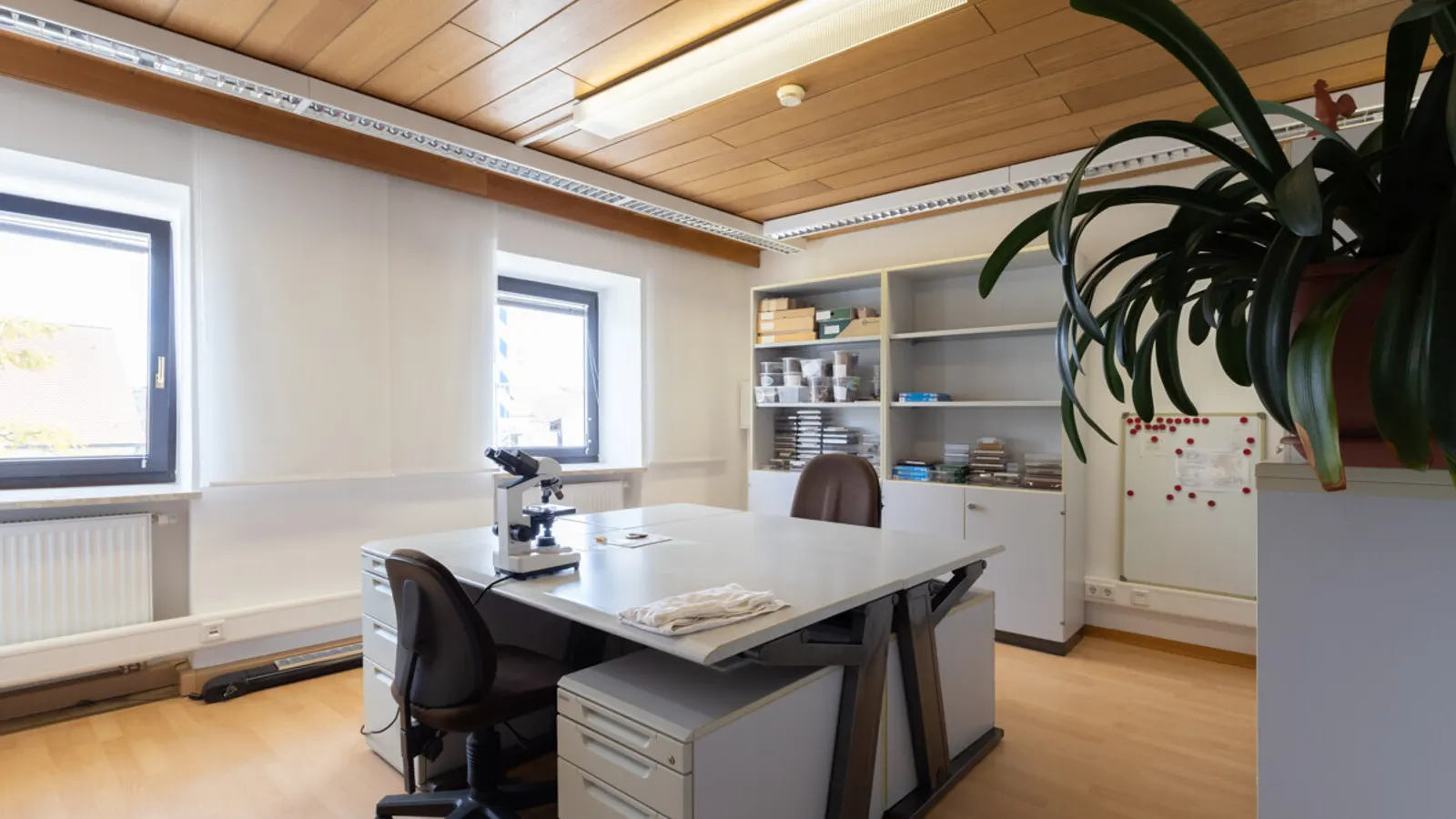 Attraktives Büro im Herzen von Gaimersheim - Bild 12