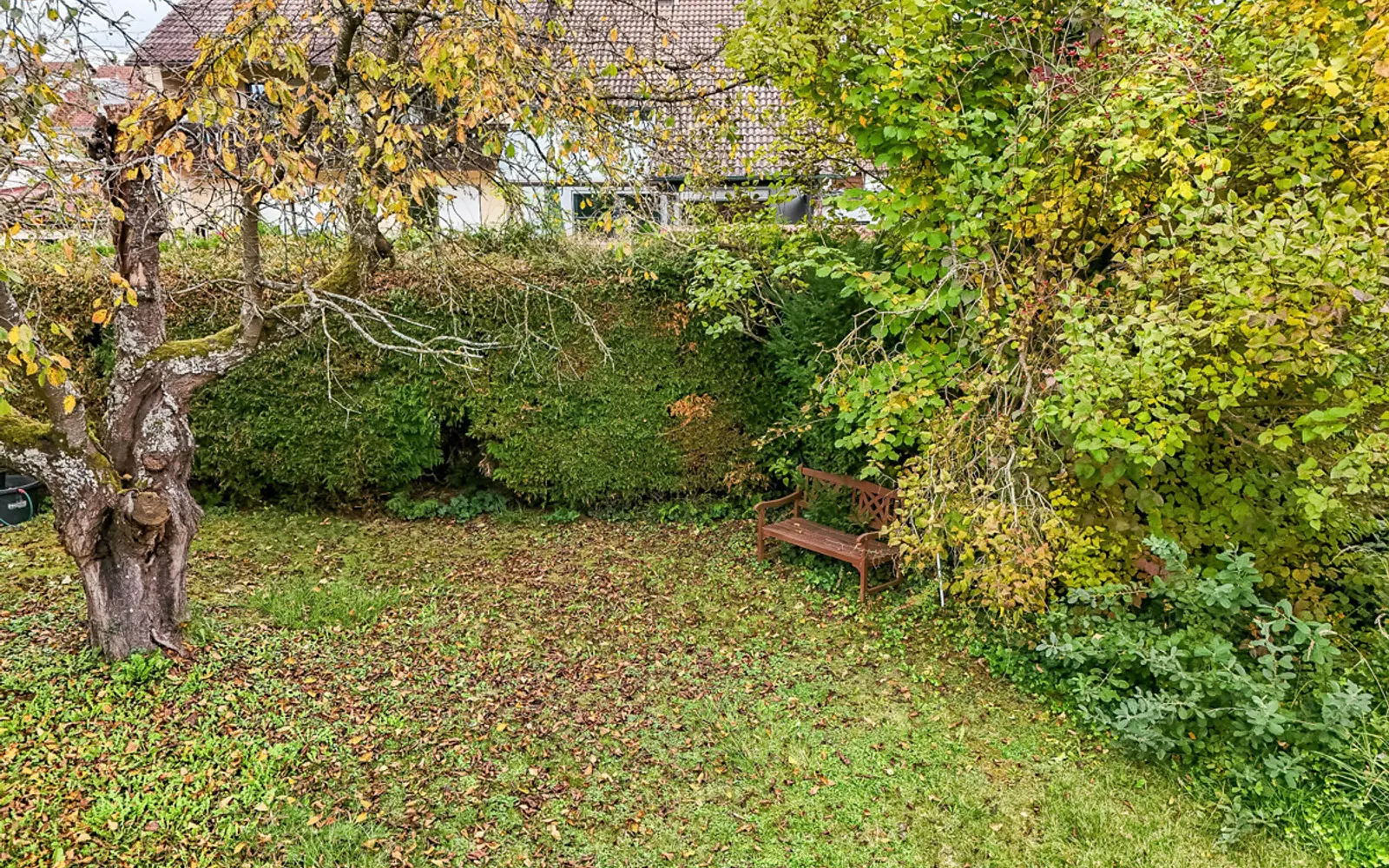 Intensive Bebauung möglich! 1.173 m² großes Baugrundstück mit Altbestand in Spitalhof! - Bild 4