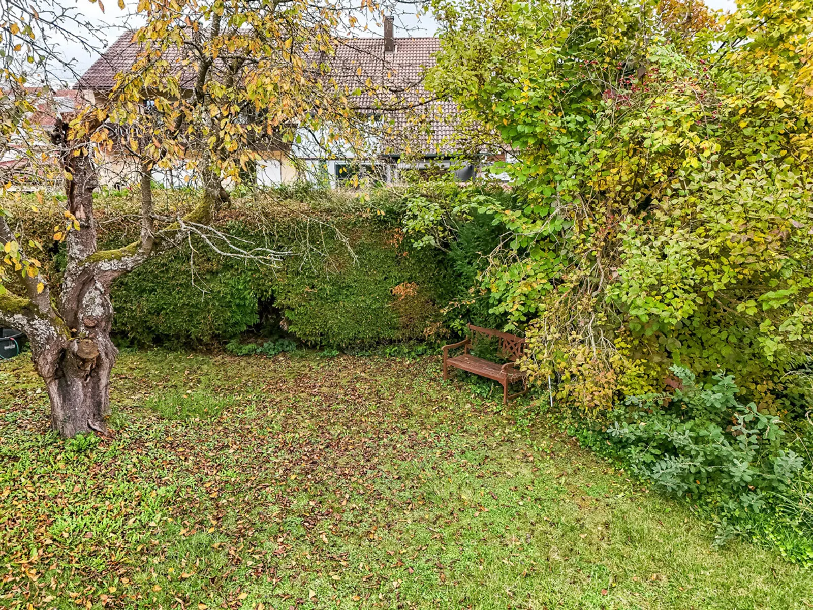 Intensive Bebauung möglich! 1.173 m² großes Baugrundstück mit Altbestand in Spitalhof! - Bild 4