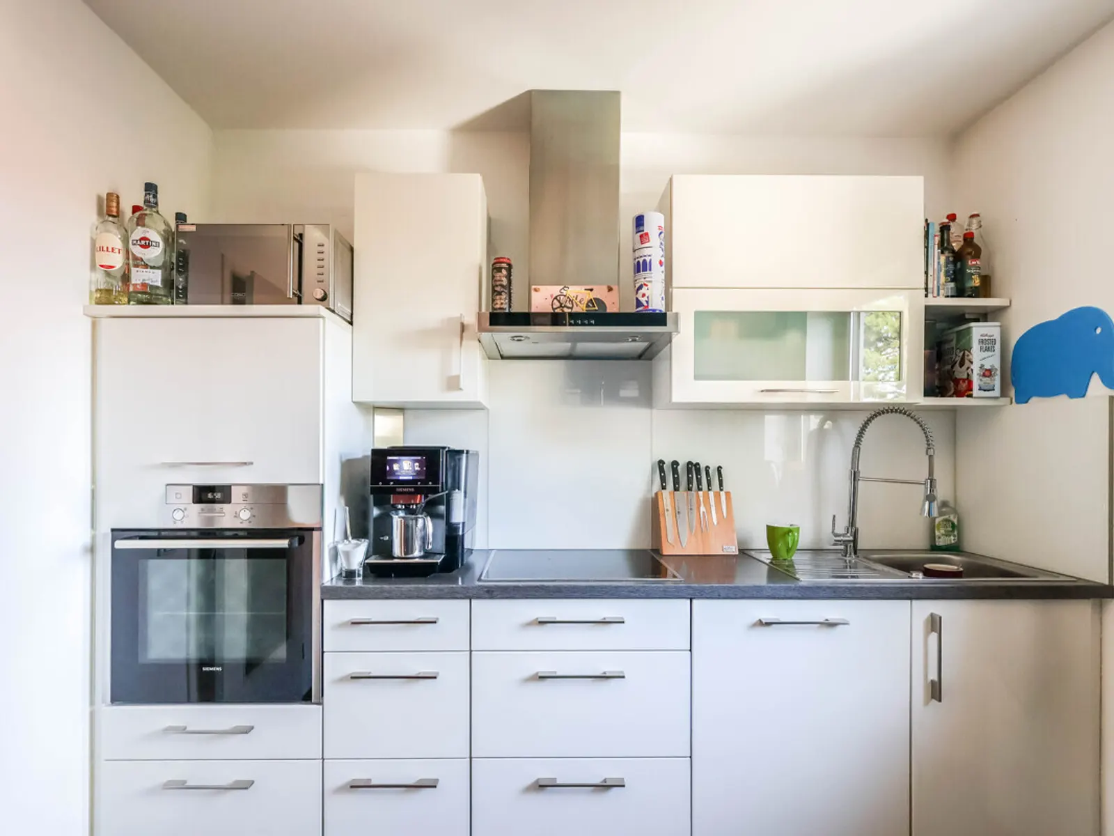 Sofort bezugsfreie 4-Zimmer-Wohnung mit Balkon in ruhiger Lage von Gaimersheim! - Bild 2