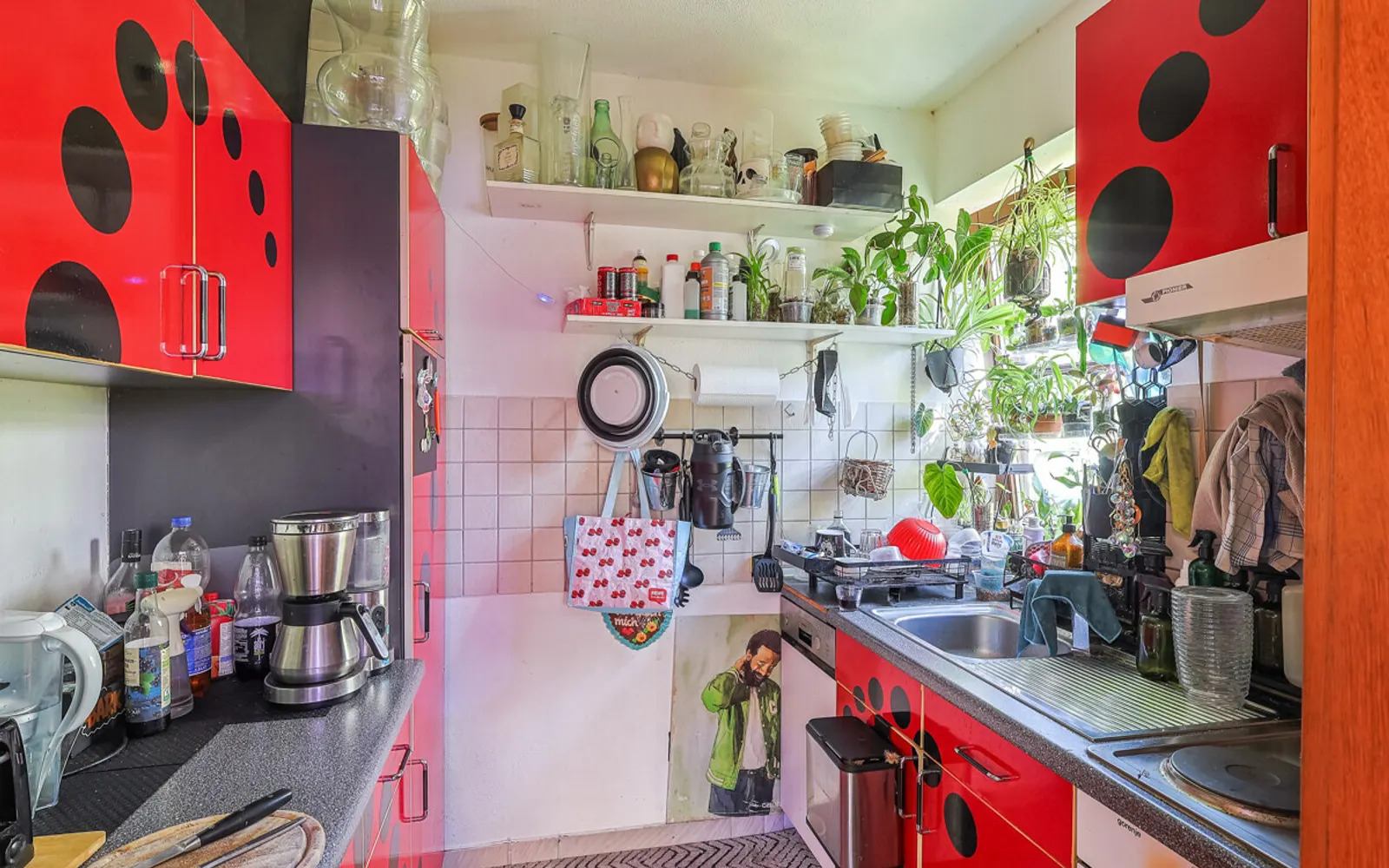 Erbbaurecht! Vermietete 2-Zimmer-Wohnung in Ingolstadt Süd mit umlaufendem Garten! - Bild 9